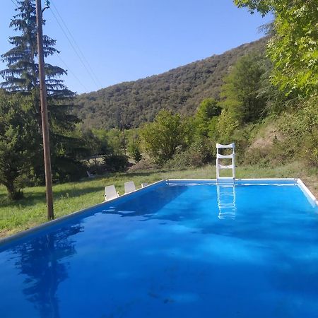Bed and Breakfast La Grenouille Valleraugue Esterno foto