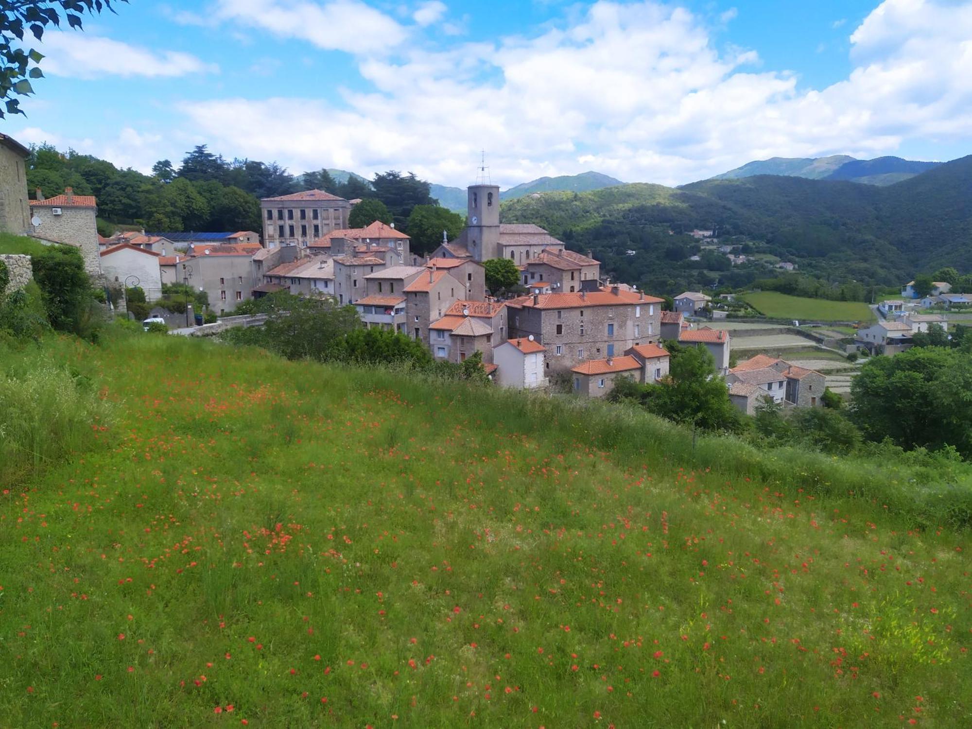 Bed and Breakfast La Grenouille Valleraugue Esterno foto